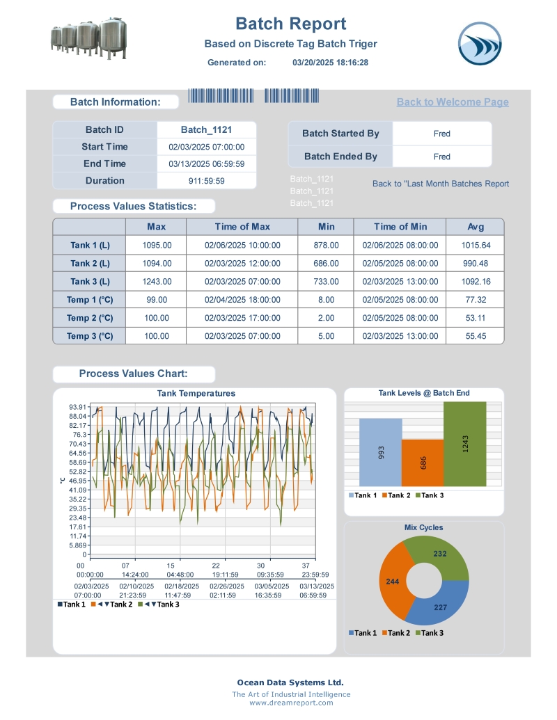 Batch Report Sample 2025 Dream Reports WEB
